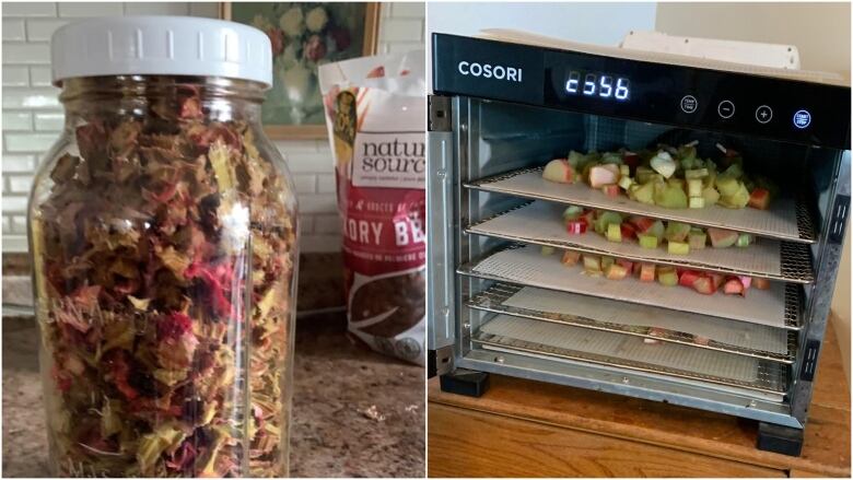 Jar of dehydrated rhubarb, and dehydrator with racks of chopped up rhubarb.