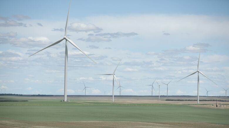 A large field with wind turbines spanning into distance