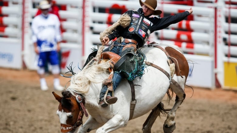  cowboy rides a bucking horse.