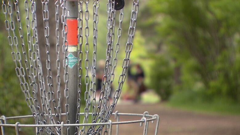 a disc golf basket is seen close up