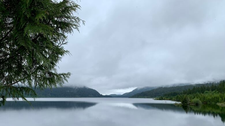 A lake stretches out into the horizon.