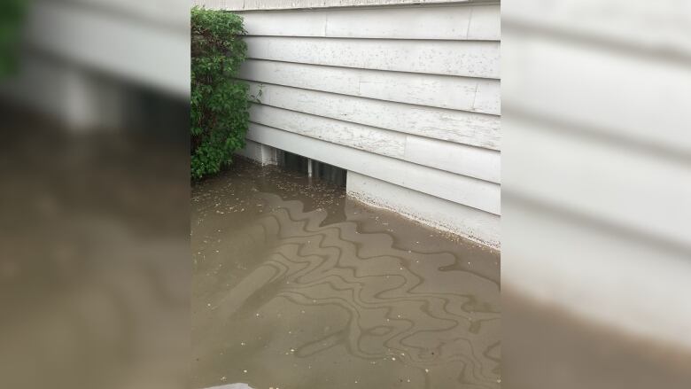 Rain water is pooled high near a basement window. 