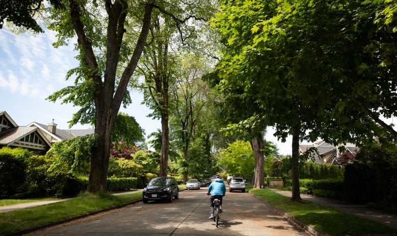 A cyclist moves down a shady, tree-lined street