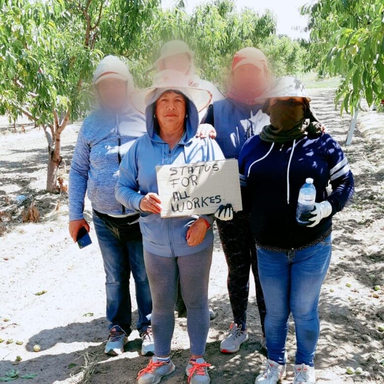 A woman stands in an orchard holding a sign that says Status for All Workers. 