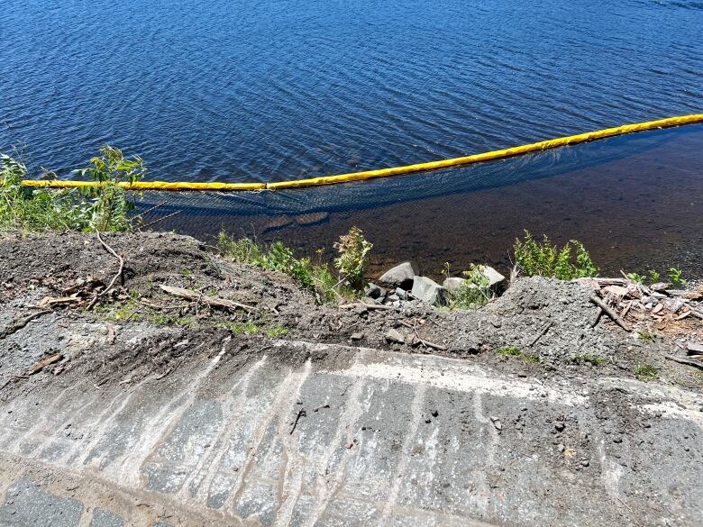 A yellow line holds a long mesh net in the water near a paved road shoulder.