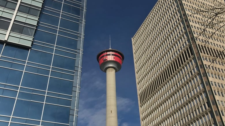 Two office towers appear to dwarf the Calgary Tower (view from ESE) Blue sky bg.