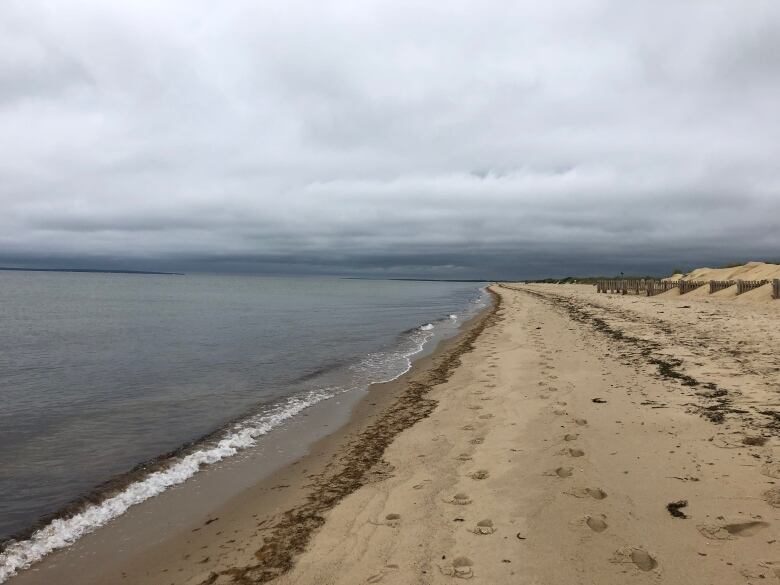 A beach, sand dunes and the Atlantic ocean are depicted on an overcast day.