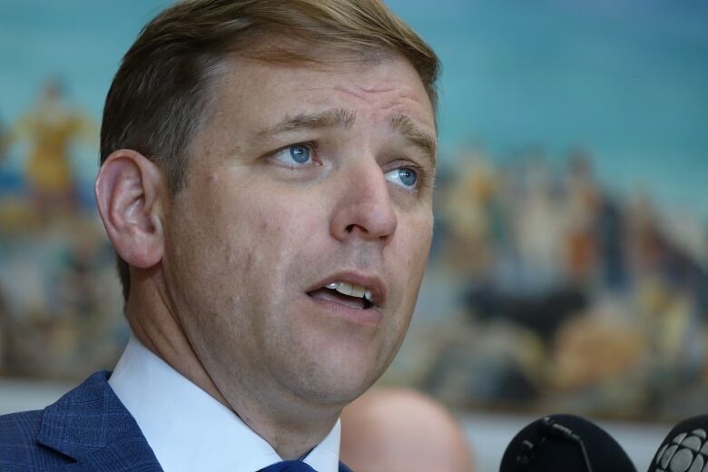 A man speaks at a microphone at Confederation Building in St. John's.