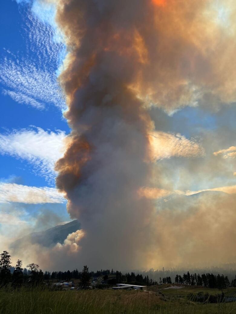 An orange-red plume of smoke behind a series of trees.