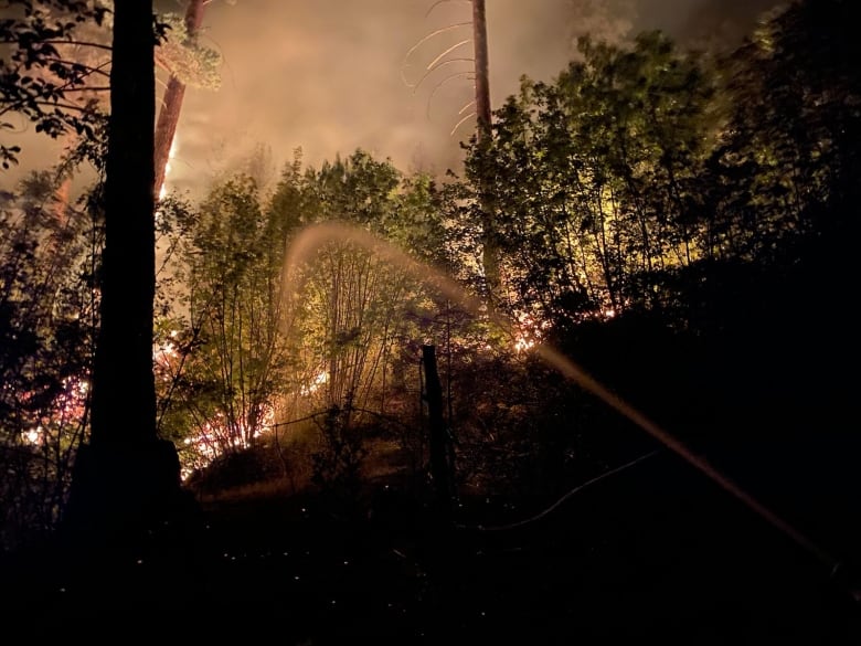 Streaks of fire are seen behind trees, with a water jet visible.