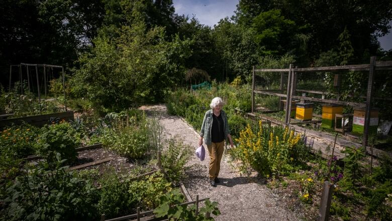 An older woman walks the path between community garden plots.