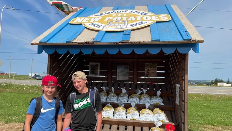 Two boys with baseball caps stand in front of a stand full of bags of potatoes.