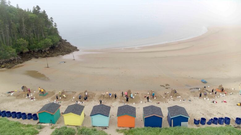 A wide, scenic beach surrounded by coniferous trees. At the bottom of the image, there is a line of sculptors in the beginning stages of making large, human sized sandcastles. 