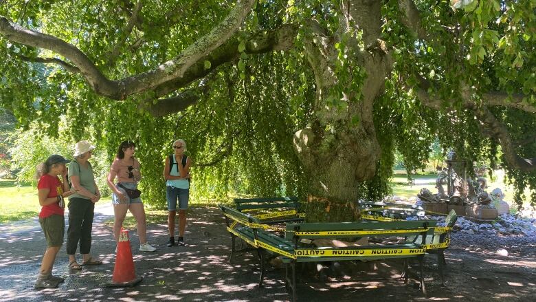 people stand around a tree that is blocked off with yellow tape.