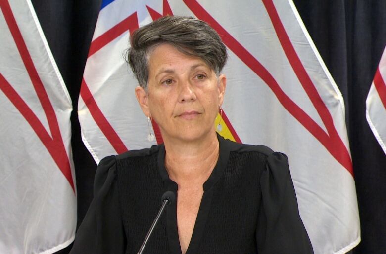 A person speaks into a microphone while sitting in front of Newfoundland and Labrador flags at a news conference.