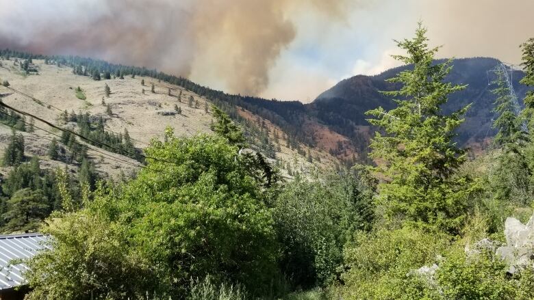 The Keremeos Creek Wildfire as seen from the area of Yellow Creek, B.C., on Aug. 1, 2022. 