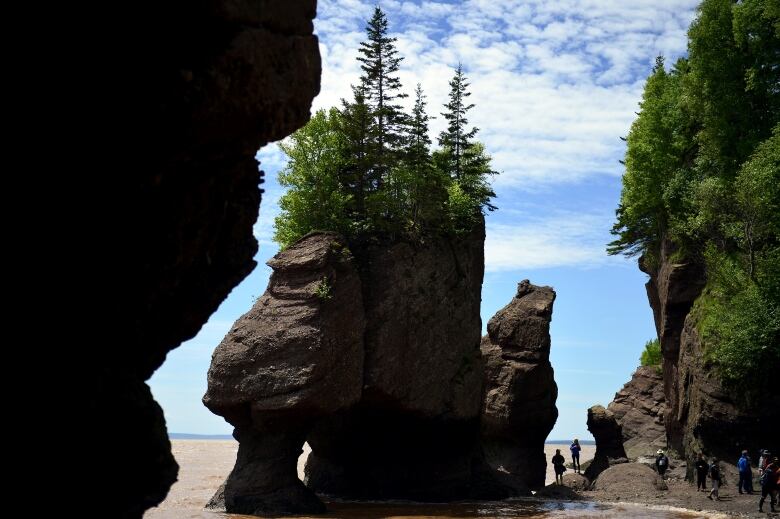 A large rock emerges from the water with trees growing on top are framed by dark shaded rocks on either side. People are walking below on the sand.