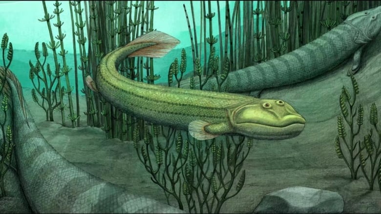 A rendering of a type of fish that lived millions of years ago.