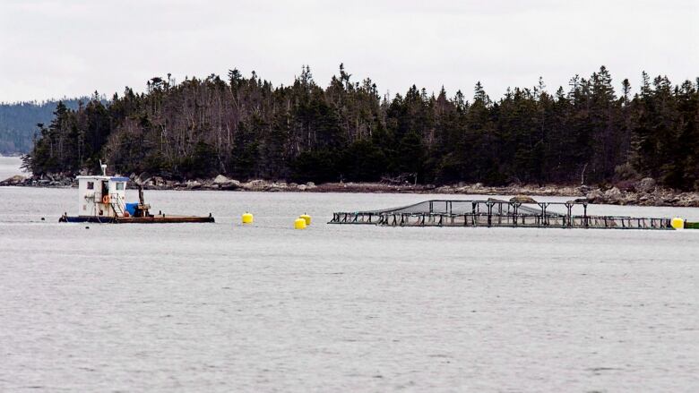 A boat is anchored beside a large salmon farming pen. The weather is grey and cloudy.