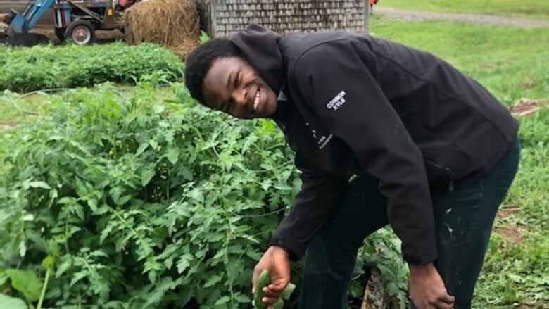 A young man leans over a garden bed full of lush vegetables, smiling at the camera.