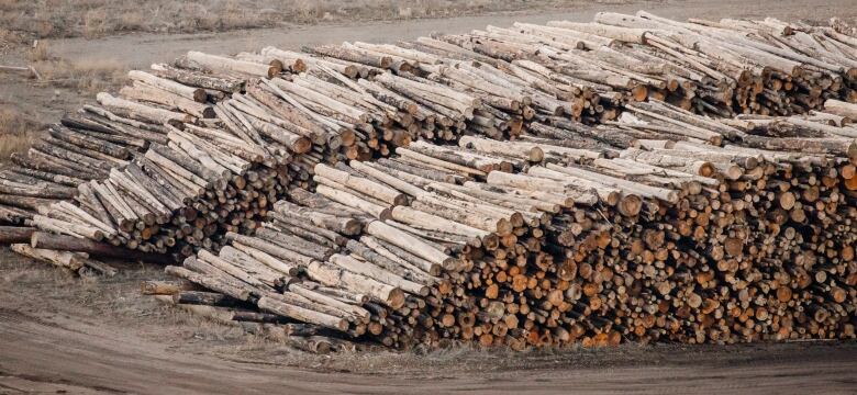 Piles of logs are pictured at a sawmill.