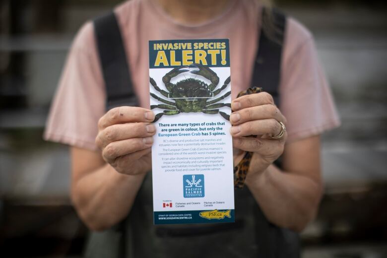 A person holds up a flyer that reads 'INVASIVE SPECIES ALERT!' with the European Green Crab on it. The flyer has been issued by the Department of Fisheries and Oceans.