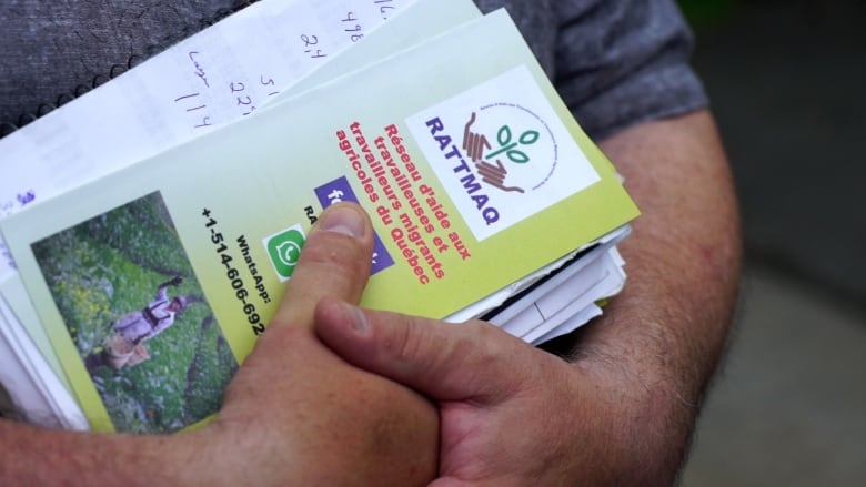 A hand holds a pile of pamphlets.