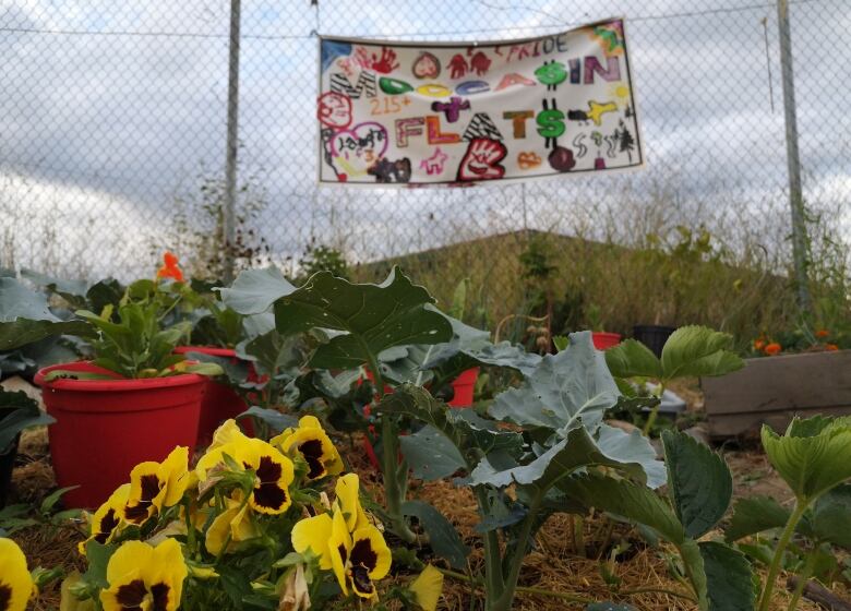 A community garden with flowers and a painted sign that reads ' Moccasin Flats'.