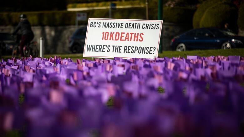 Purple flags that represent the lives lost due to drug overdoses are pictured during a Moms Stop The Harm memorial on the sixth anniversary of the opioid public health emergency in Vancouver, British Columbia on Thursday, April 14, 2022.