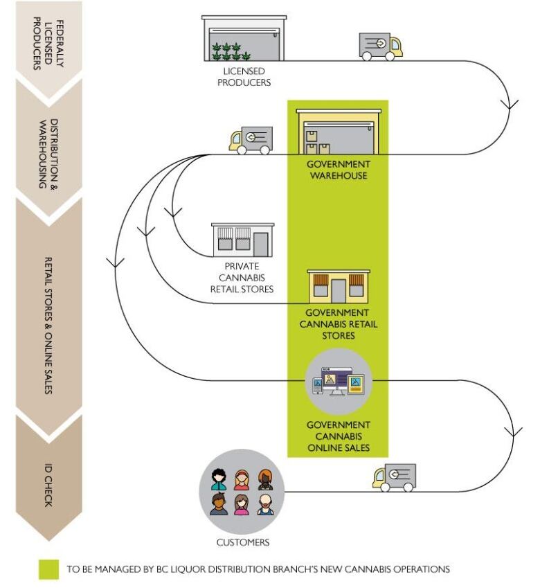 An infographic shows the stages of cannabis production in B.C. A producer sends it to a government warehouse, which then takes it to private cannabis retail stores and government sretail stores. These are then eventually given to consumers.