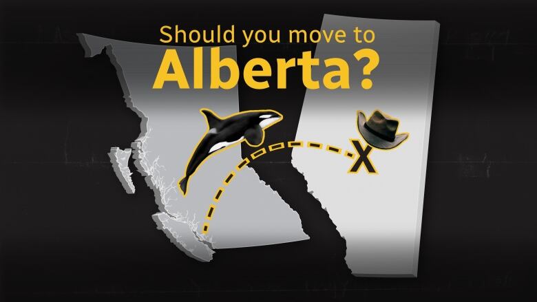 An orca jumps from B.C. to Alberta where a cowboy hat awaits