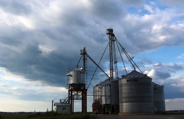 A cluster of silos in a field with dramatic clouds overhead.