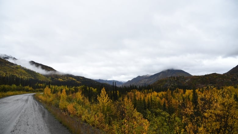 Looking up a road winding through the mountains.