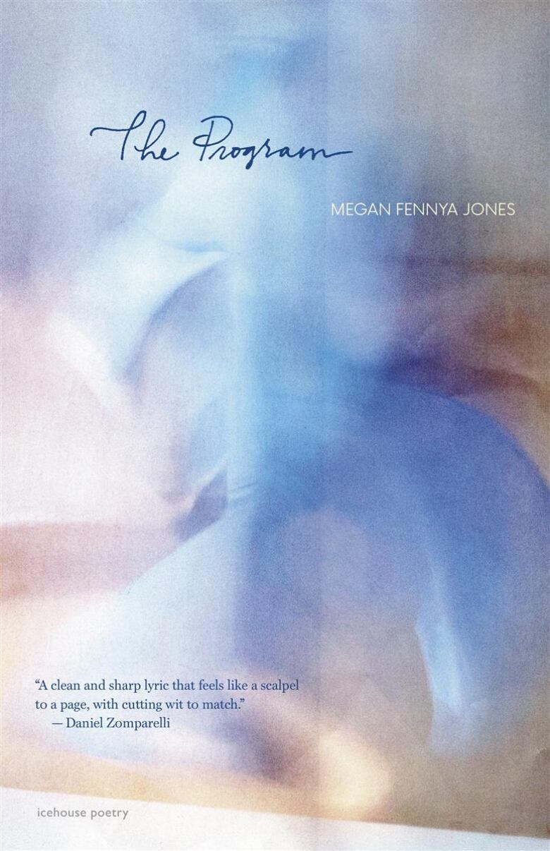 The cover of Megan Fennya Jones's poetry book The Program, featuring a blurry pastel-blue image with the title at the top in navy-blue cursive.