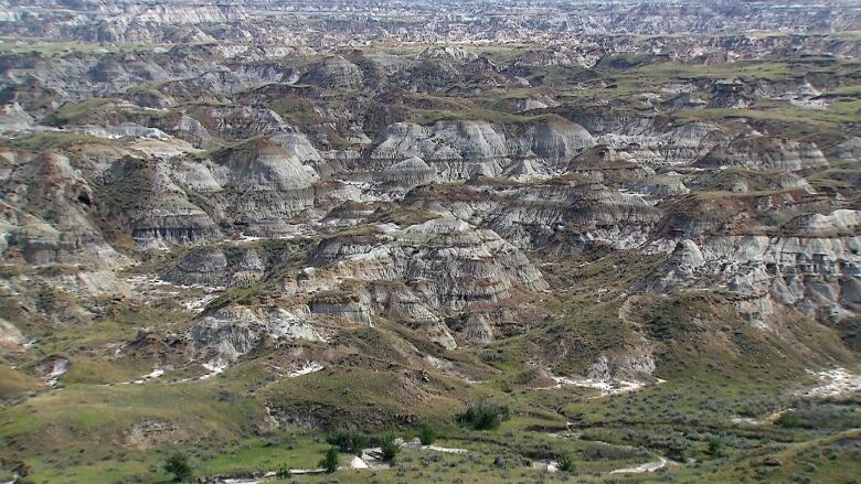 Badlands stretch into the horizon in Dinosaur Provincial Park.