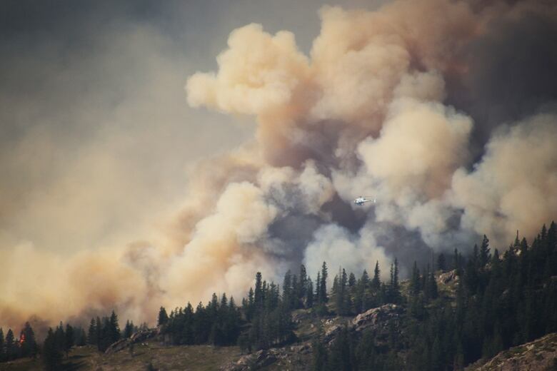 A helicopter flies in front of a wall of smoke