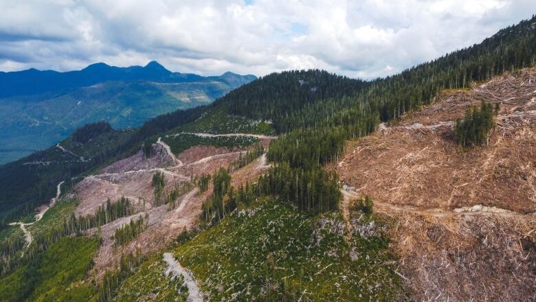 Two parcels of land look barren next to patches of trees.