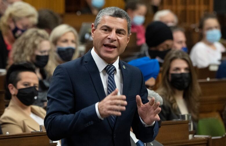 A man speaks in Canadian parliament.