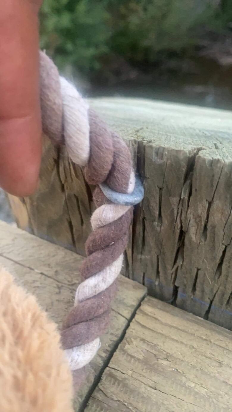 A thick, twisted cord is seen hooked into the wood bridge with a think metal staple.