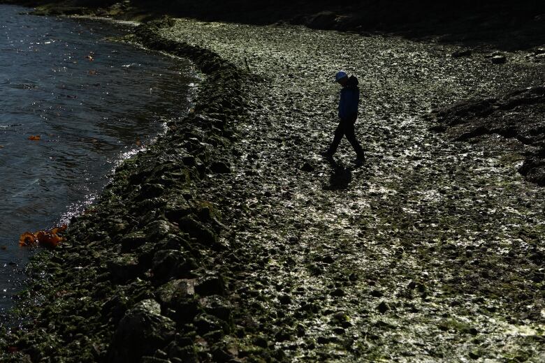 A man in a hat walks along a rocky beach.