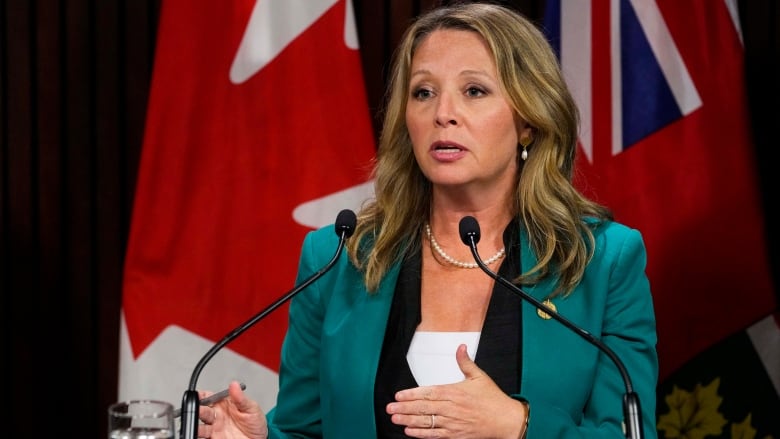 Ontario NDP MPP Marit Stiles speaks to the media on Tuesday,  August 9, 2022. THE CANADIAN PRESS/Andrew Lahodynskyj