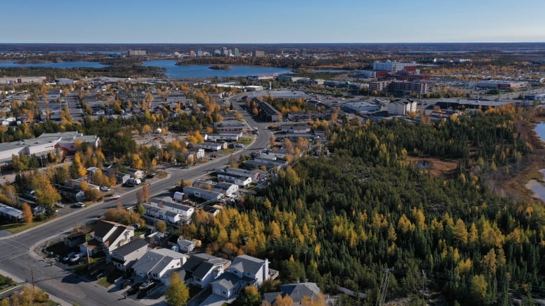 A grid of houses, trees, a lake, and the downtown skyline. 