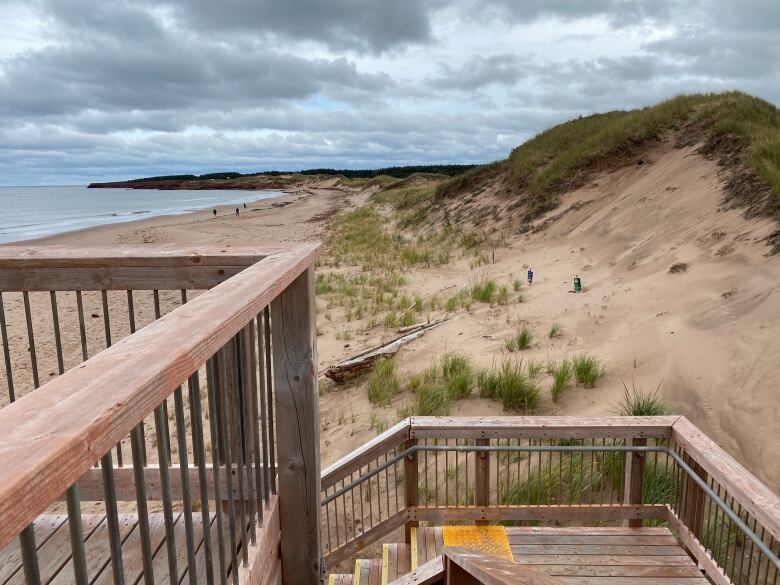 Dune erosion at P.E.I. National Park.