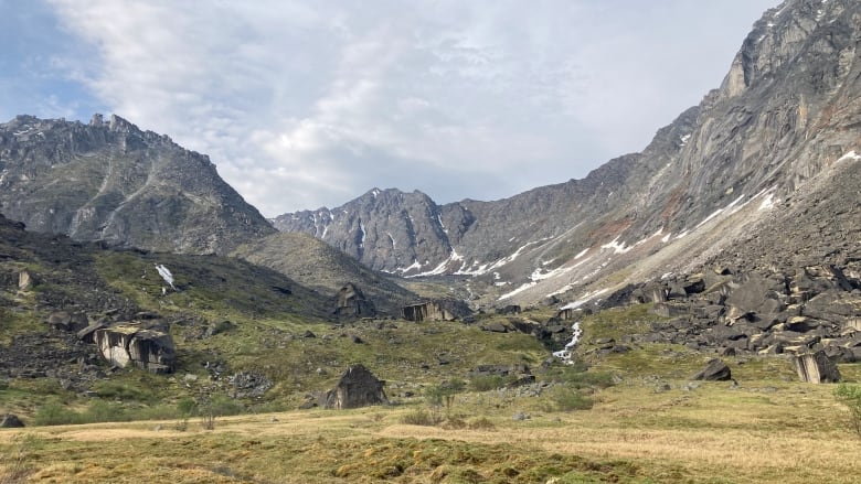 a bunch of mountains and some grass in the foreground.