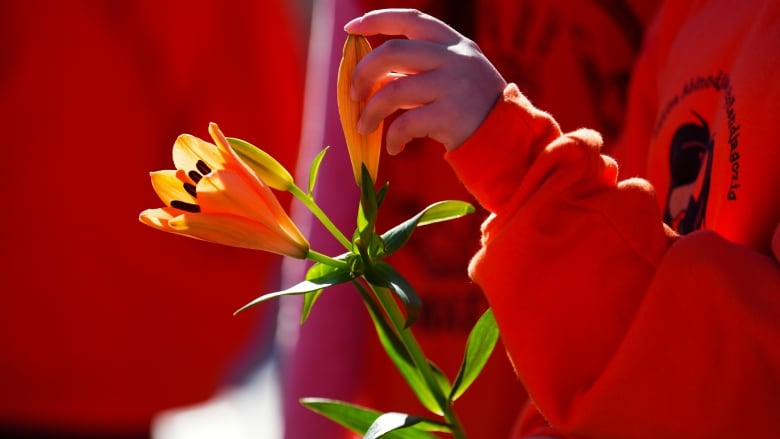 Someone in an orange shirt holds an orange flower.