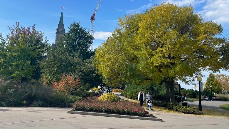 Two people and a stroller walk through a park in autumn. The Peace Tower on Parliament Hill is in the background.