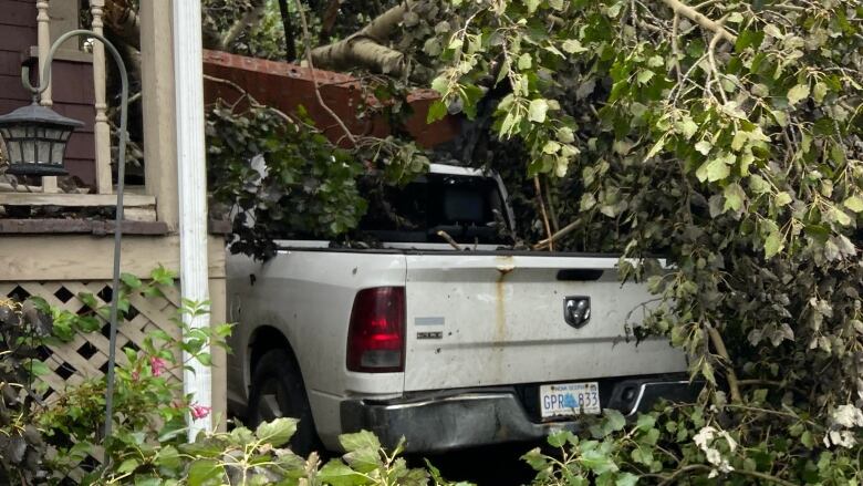 A white Dodge pickup truck sits in a driveway and is covered by a large tree and chimney following post-tropical storm, Fiona