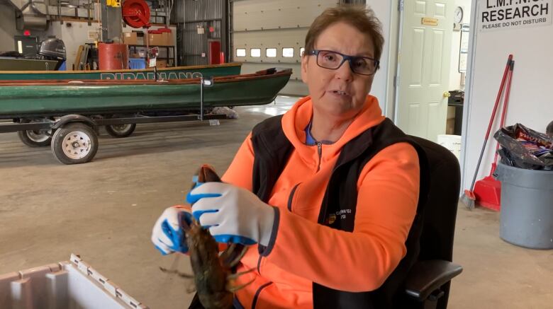 A woman handles a lobster.