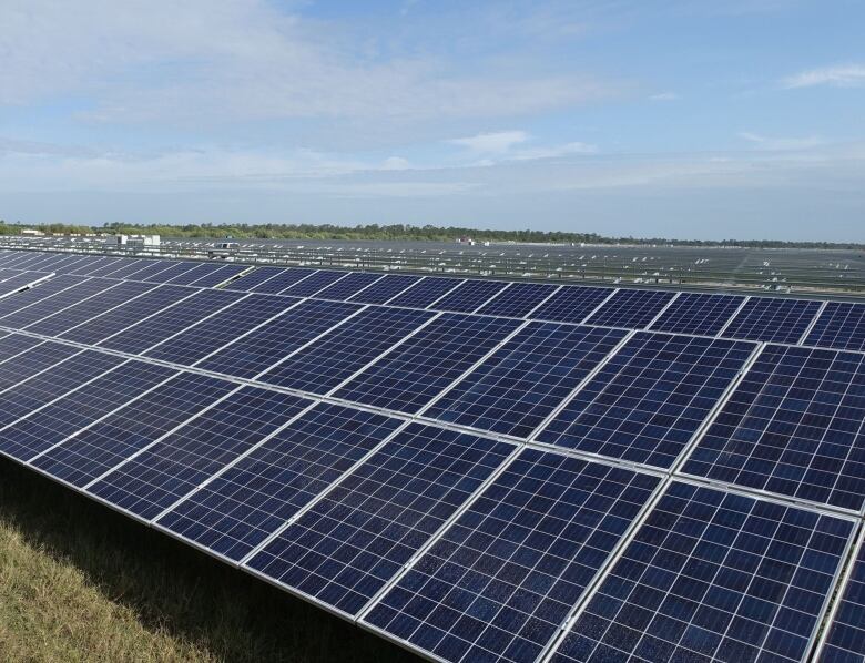 An array of solar panels.