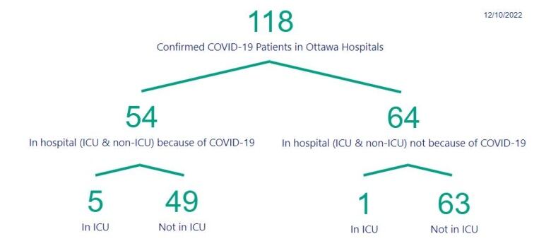 A graphic breaking down Ottawa COVID-19 hospitalizations.